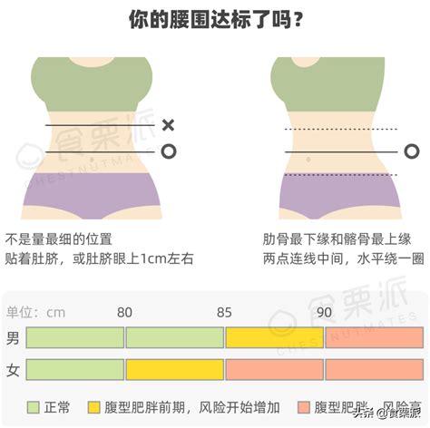 腰圍計算方式